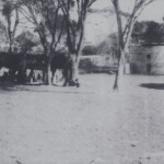 Nampup work horses Charsaley family