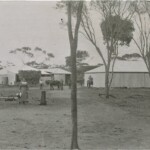 First house at Nampup Soak, Charsley's Wool Shed and Chaff House - 1907-1908 Charsley Family
